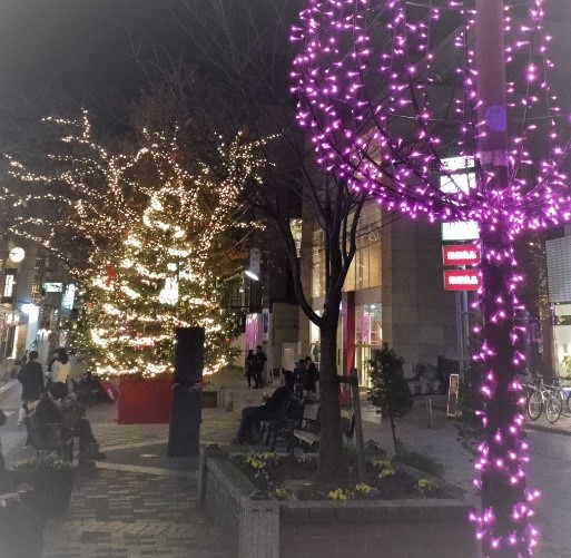 自由が丘のXmasイルミネーション